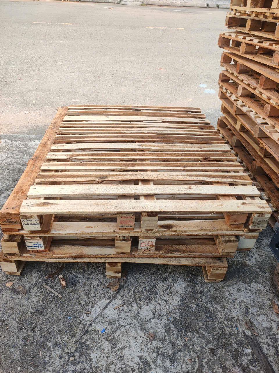cập nhật giá thành mua bán pallet nhựa gỗ tại nha trang