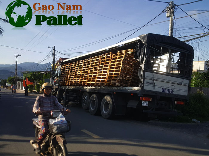pallet gỗ thông giá rẻ tại nha trang diên khánh cam kết ổn định giá thị trường pallet thanh lý nhận ký gửi bán hàng