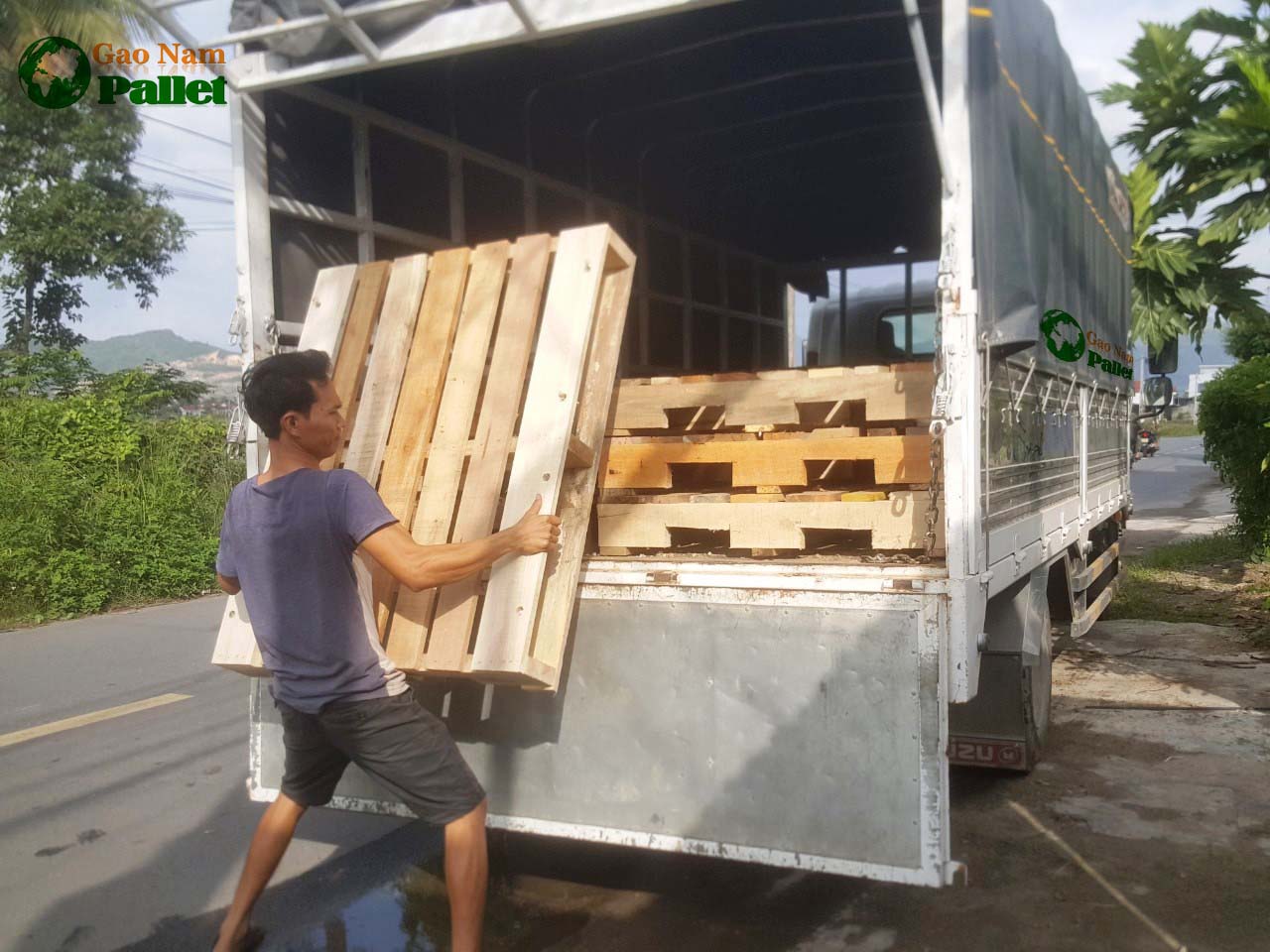 pallet gỗ thông tại nha trang khánh hòa gạo nam mở thêm kho số 05 tại nha trang