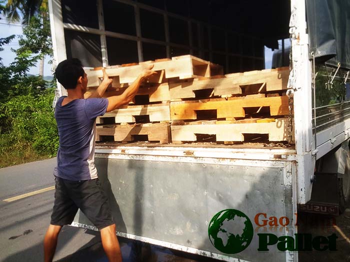 pallet gỗ thông tại nha trang khánh hòa gạo nam mở thêm kho số 05 tại nha trang