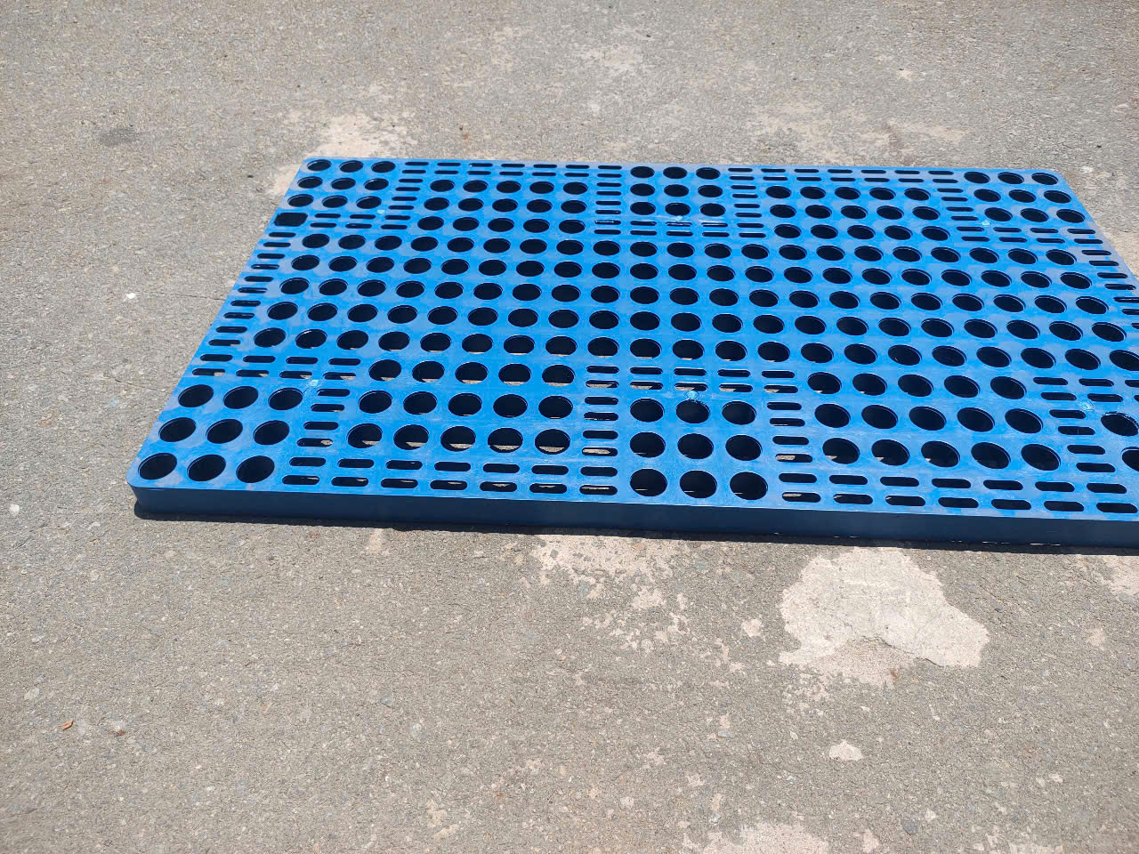 cập nhật giá thành mua bán pallet nhựa gỗ tại nha trang