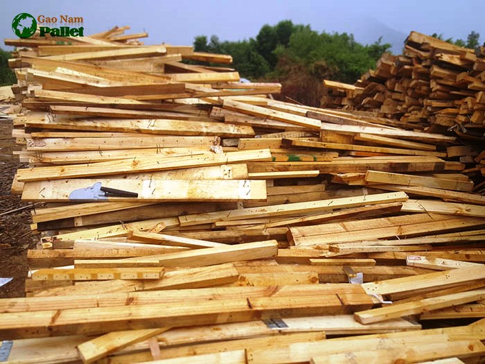 cập nhật giá thành mua bán pallet nhựa gỗ tại nha trang