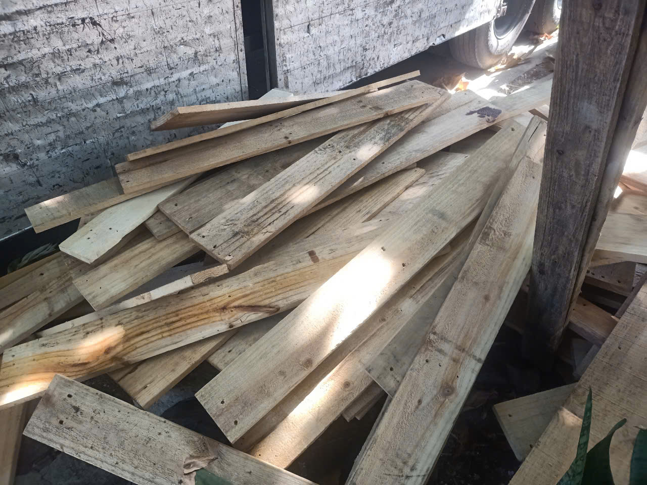 ván pallet gỗ thông giá rẻ tại nha trang