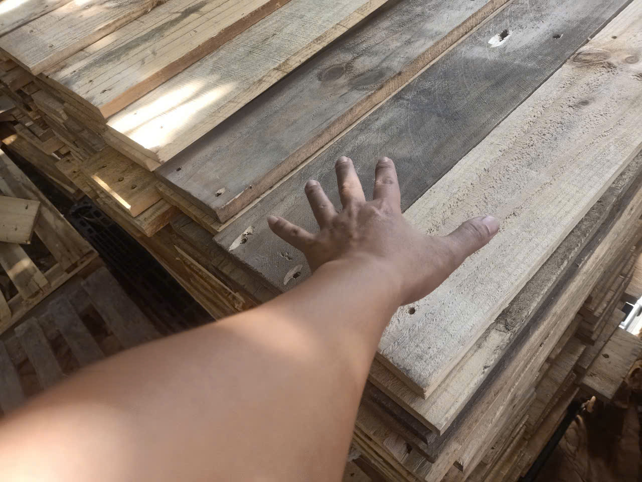 ván pallet gỗ thông giá rẻ tại nha trang
