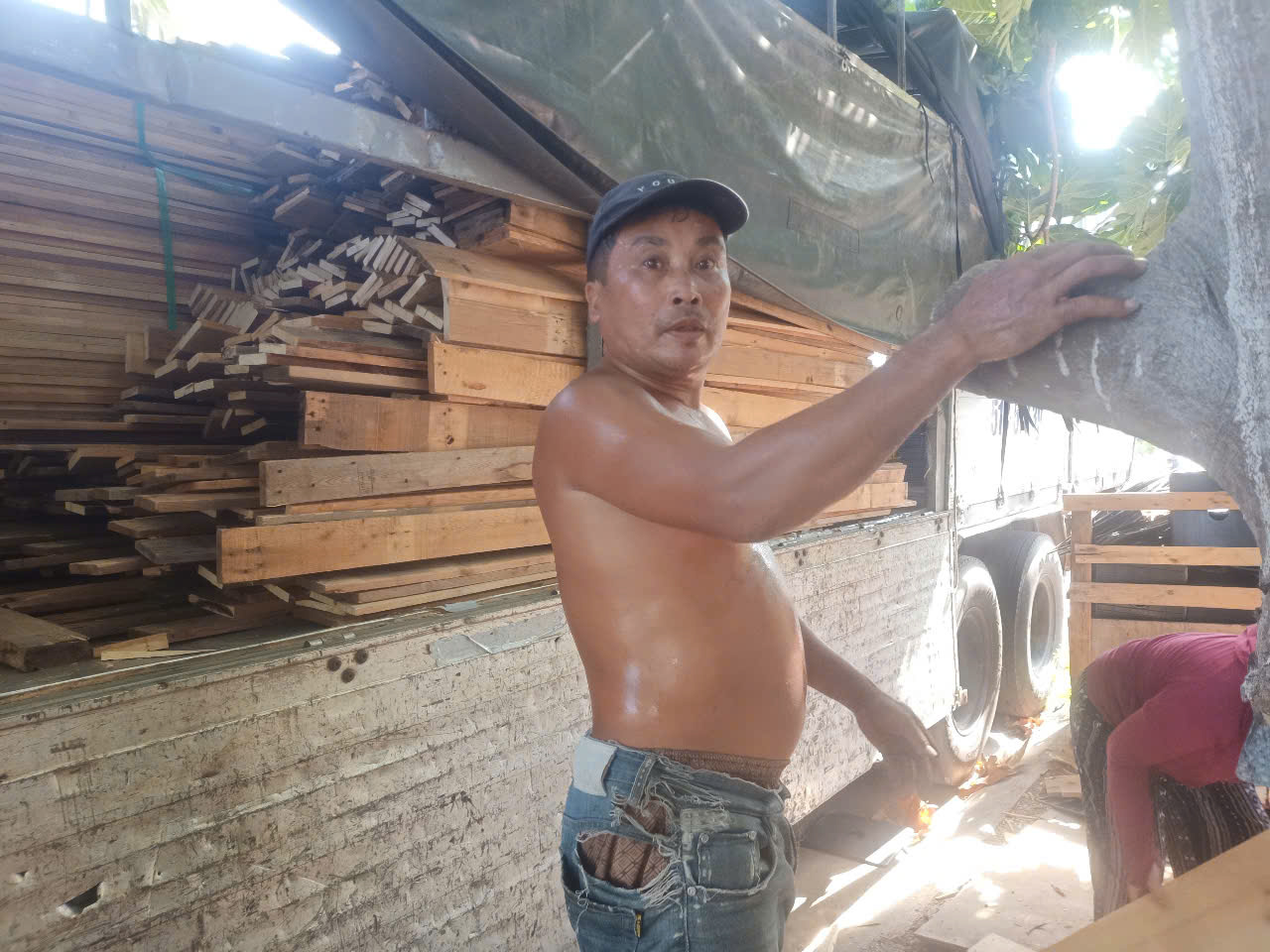 ván pallet gỗ thông giá rẻ tại nha trang